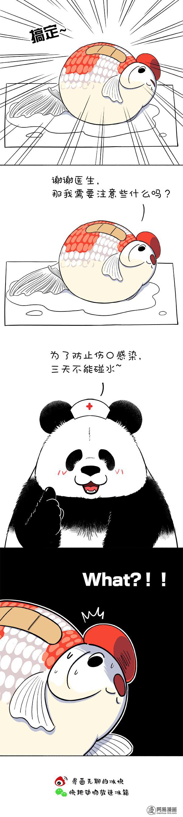 快把动物放进冰箱161 我觉得我还能抢救一下