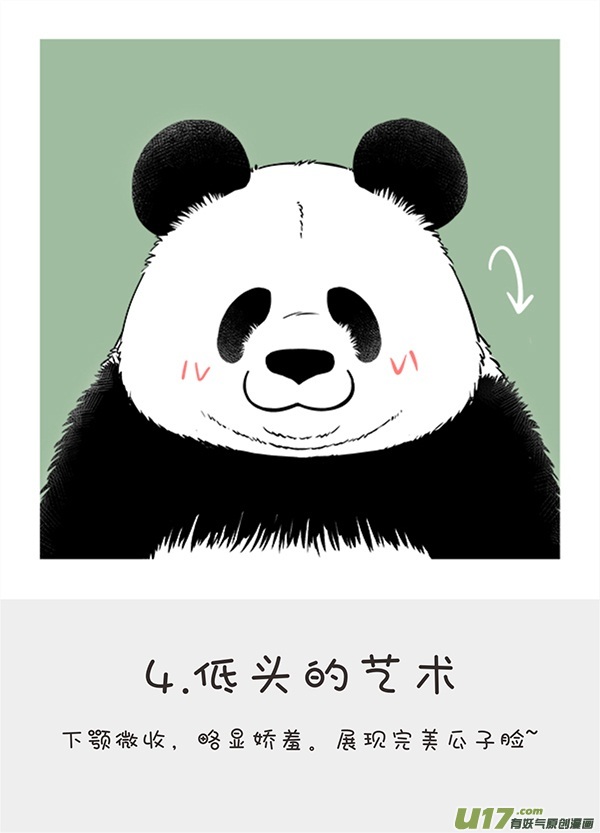 快把动物放进冰箱152cheese老师自拍瘦脸秘籍