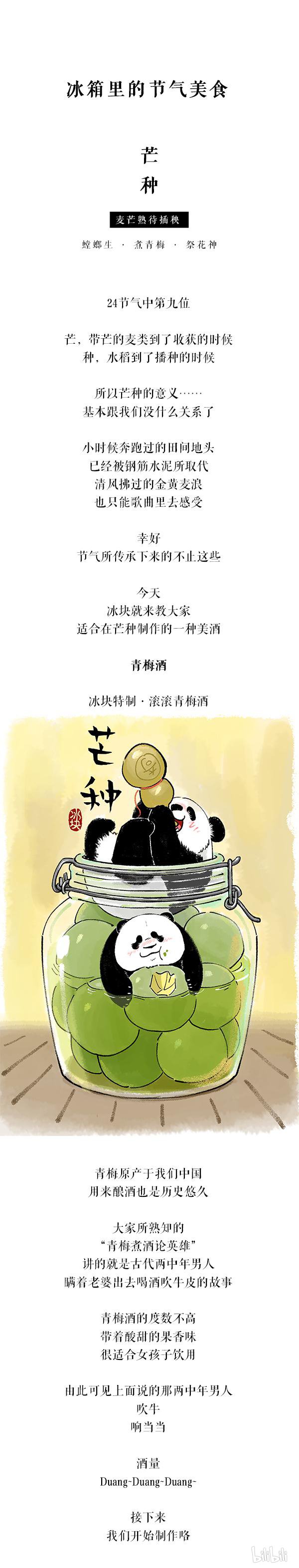 快把动物放进冰箱163 端午粽子和高考更配哦~