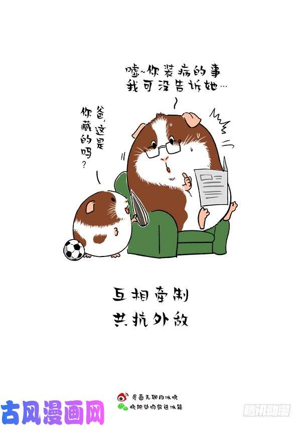 快把动物放进冰箱165父爱的正确打开方式