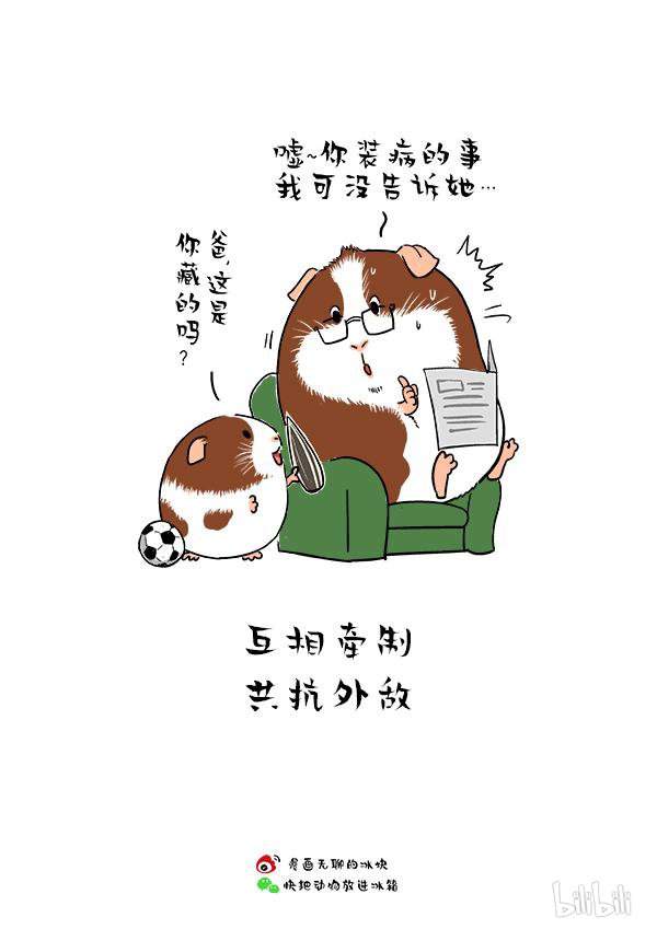 快把动物放进冰箱165 父爱的正确打开方式