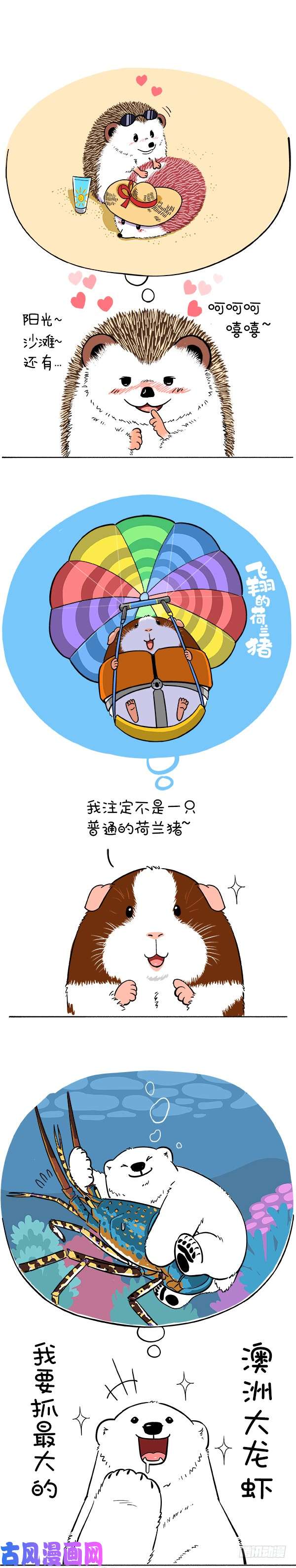 快把动物放进冰箱167萌冻夏令营澳洲行（预热）