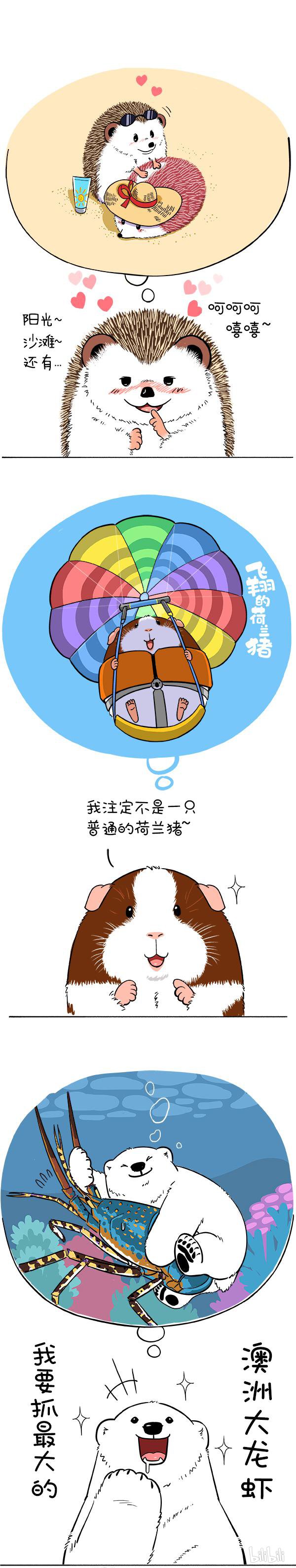 快把动物放进冰箱167 萌冻夏令营澳洲行（预热）