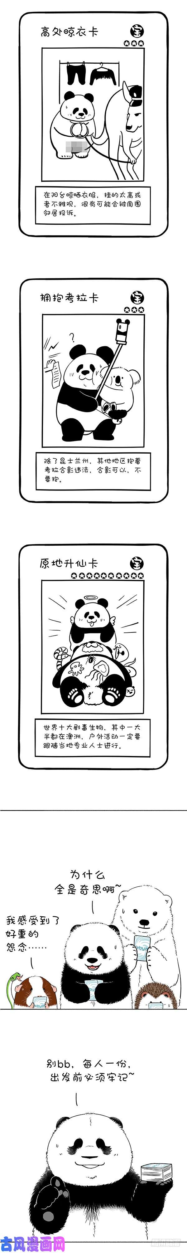 快把动物放进冰箱169真正的关怀是给你我的卡