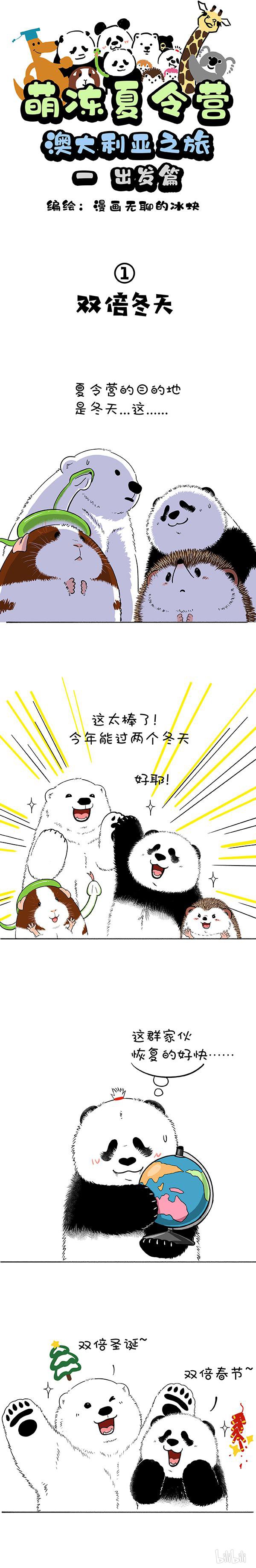 快把动物放进冰箱169 真正的关怀是给你我的卡