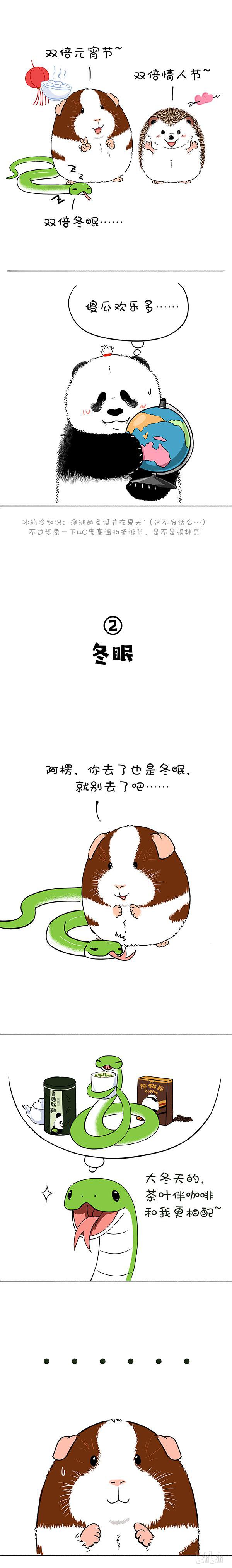 快把动物放进冰箱169 真正的关怀是给你我的卡