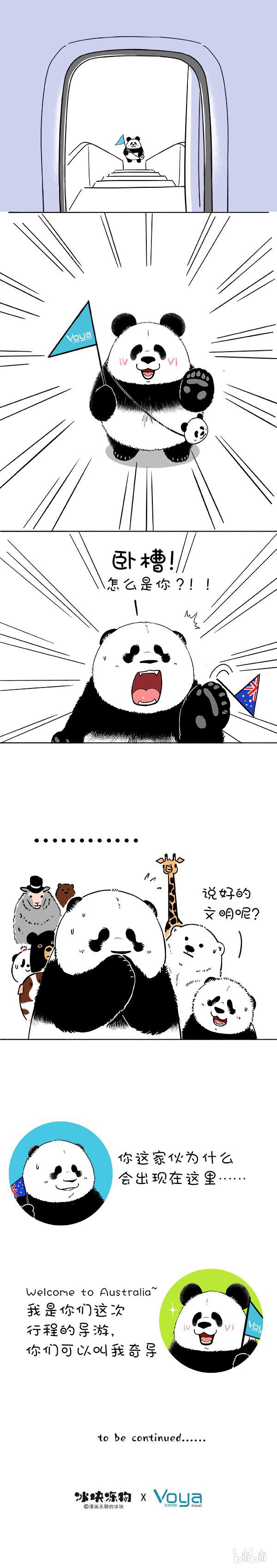 快把动物放进冰箱171 一场注定坑坑洼洼的夏令营