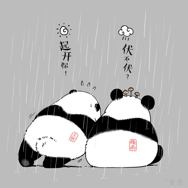 快把动物放进冰箱171 一场注定坑坑洼洼的夏令营