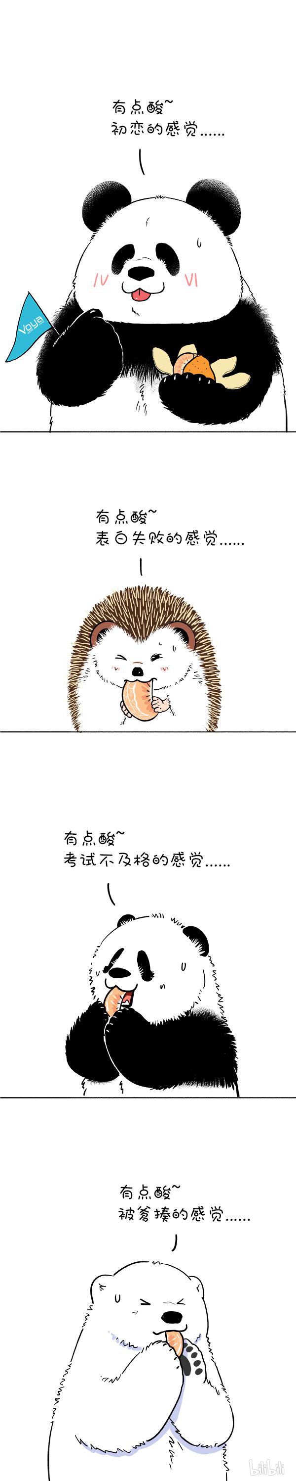 快把动物放进冰箱172 伟大的建筑都有自己的味道