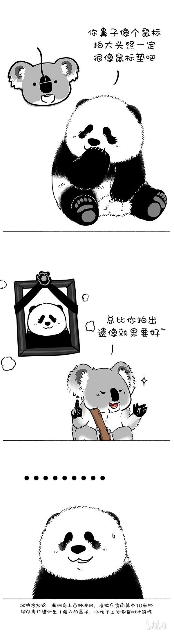 快把动物放进冰箱173 比就比我还怕你么？