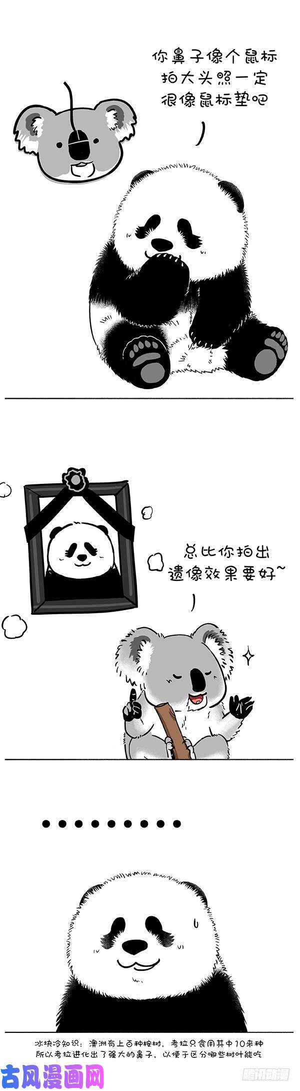 快把动物放进冰箱173比就比我还怕你么？