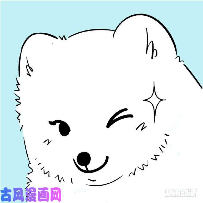 快把动物放进冰箱175这份叽叽喳喳的浪漫请收好