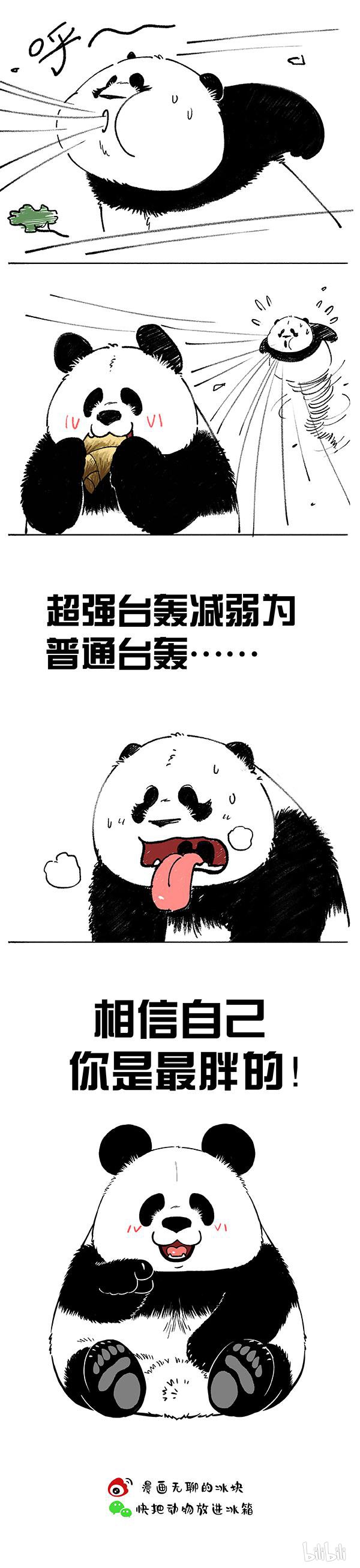 快把动物放进冰箱176 相信自己你是最胖的