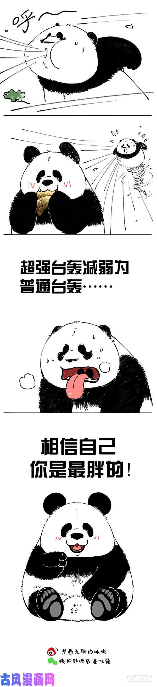快把动物放进冰箱176相信自己你是最胖的