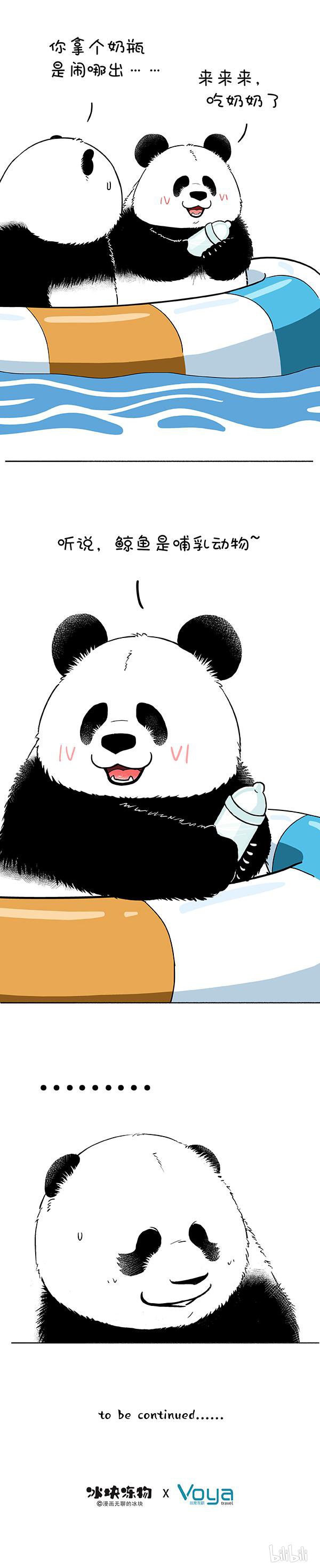 快把动物放进冰箱178 今天着实把我鲸到了