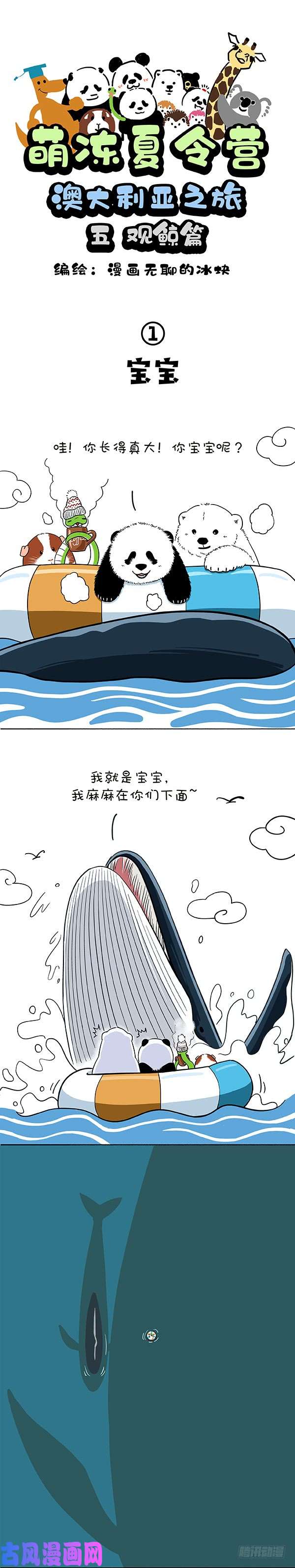 快把动物放进冰箱178今天着实把我鲸到了