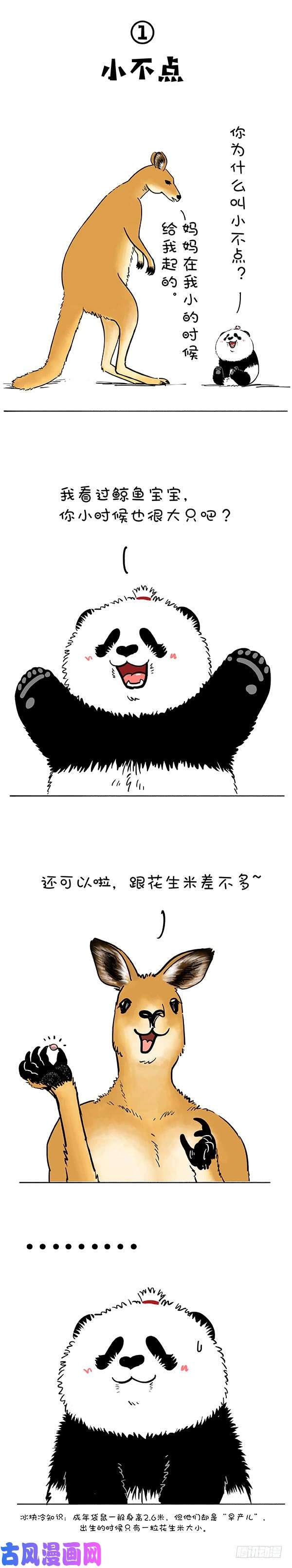 快把动物放进冰箱181没人告诉我鼠有这么大…