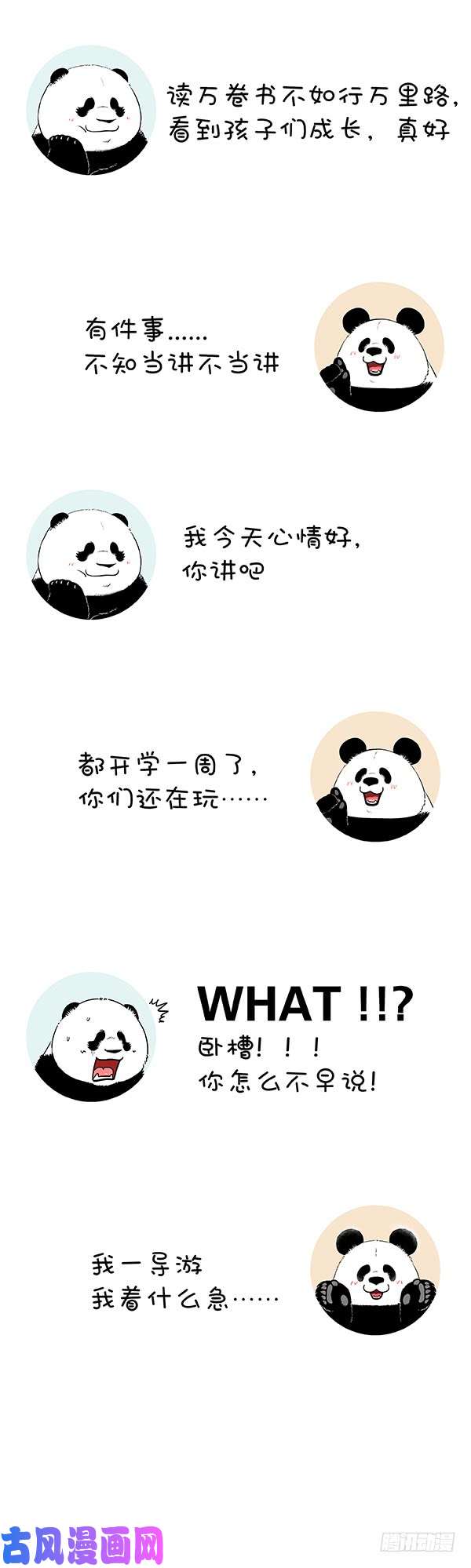 快把动物放进冰箱181没人告诉我鼠有这么大…