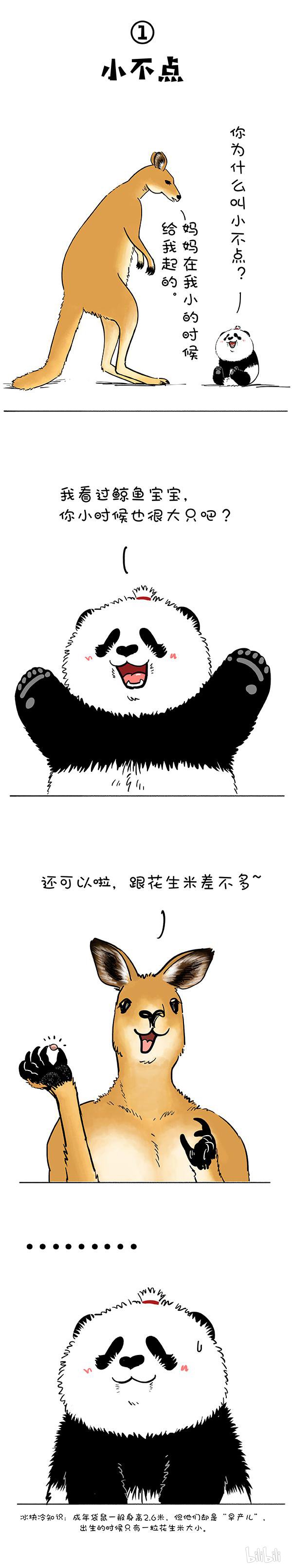 快把动物放进冰箱181 没人告诉我鼠有这么大…