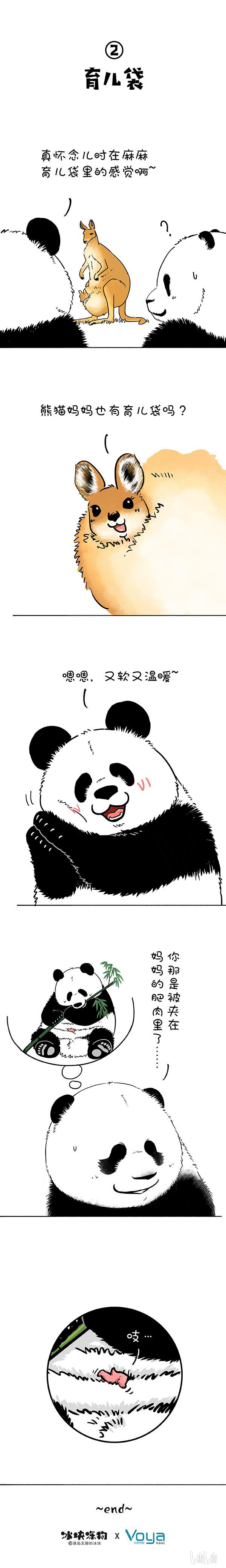 快把动物放进冰箱181 没人告诉我鼠有这么大…