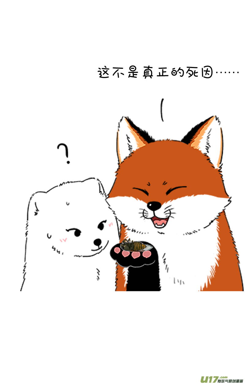 快把动物放进冰箱180知了／181袋鼠／182教师节