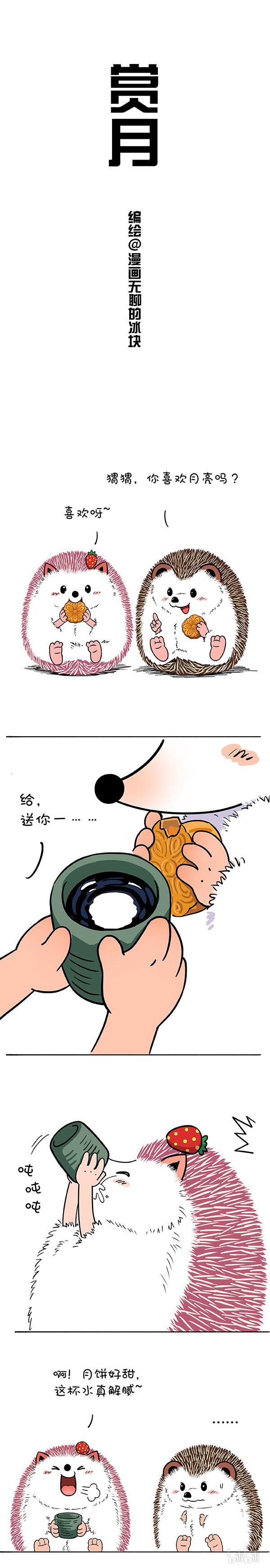 快把动物放进冰箱183 你赏月我赏你~