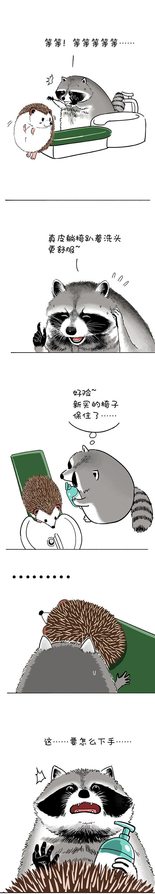 快把动物放进冰箱185 洗迎国庆，从头做起