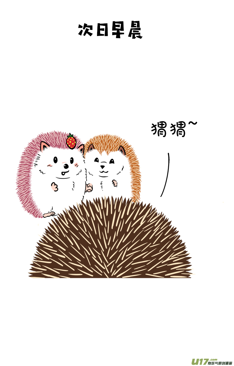 快把动物放进冰箱186毒奶冰块／187明明可以靠脸吃饭