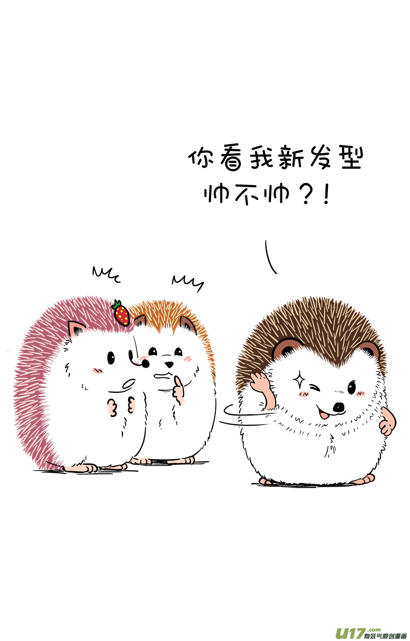 快把动物放进冰箱186毒奶冰块／187明明可以靠脸吃饭