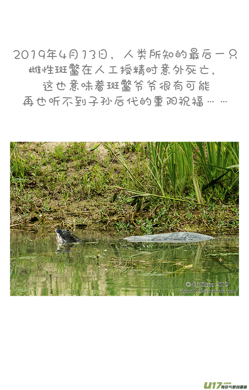 快把动物放进冰箱188你在哪里玩手机／189新物种