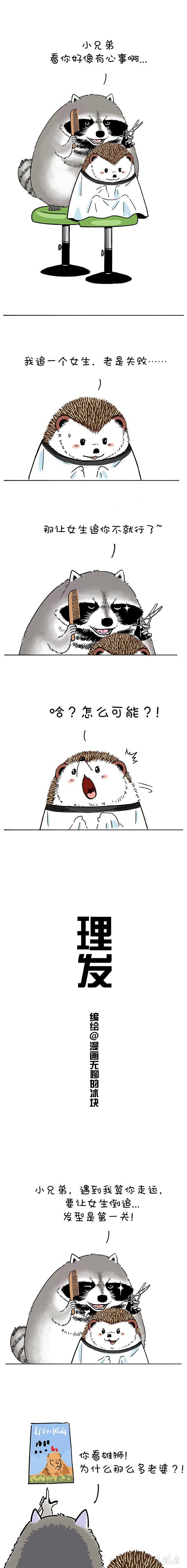 快把动物放进冰箱187 明明可以靠脸吃饭，偏要靠发型吃亏