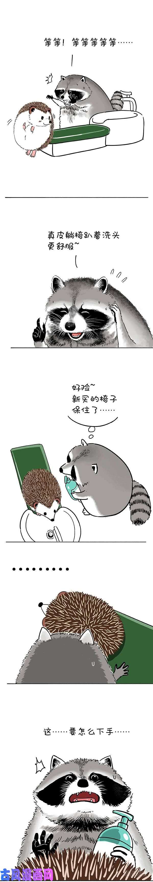 快把动物放进冰箱185洗迎国庆，从头做起