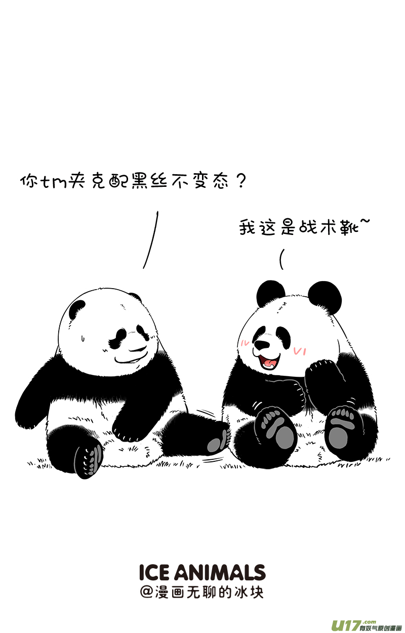 快把动物放进冰箱191好看的皮囊款式挺齐