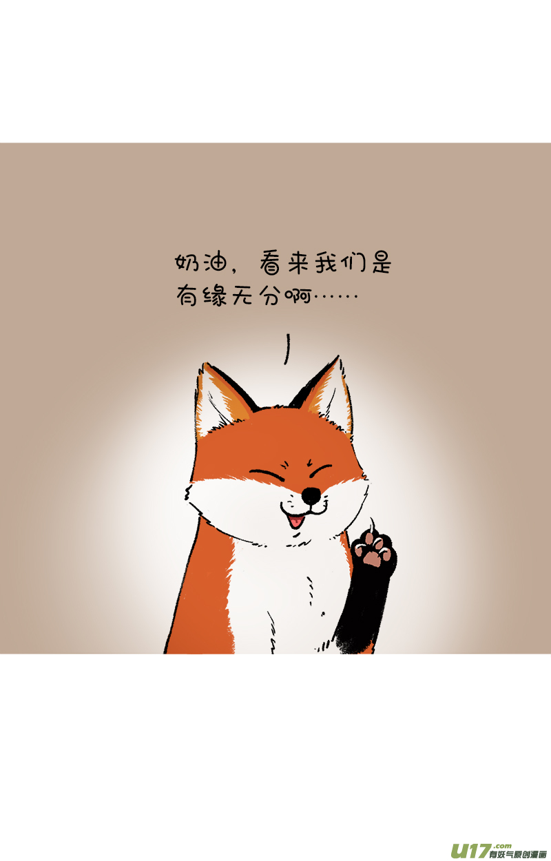 快把动物放进冰箱192我教你怎么占卜未来的另一半