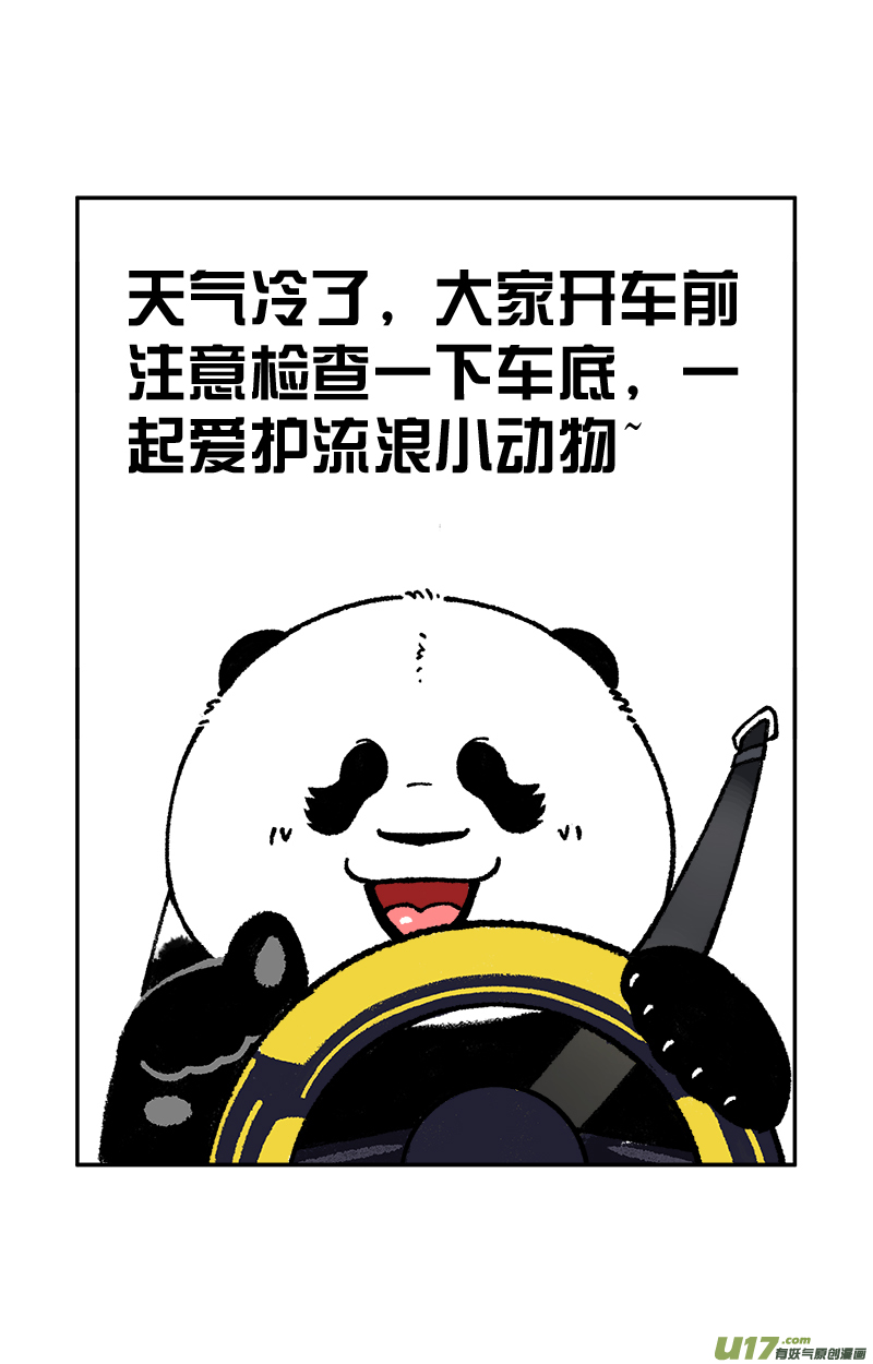 快把动物放进冰箱碰瓷／冰箱里的朋友圈