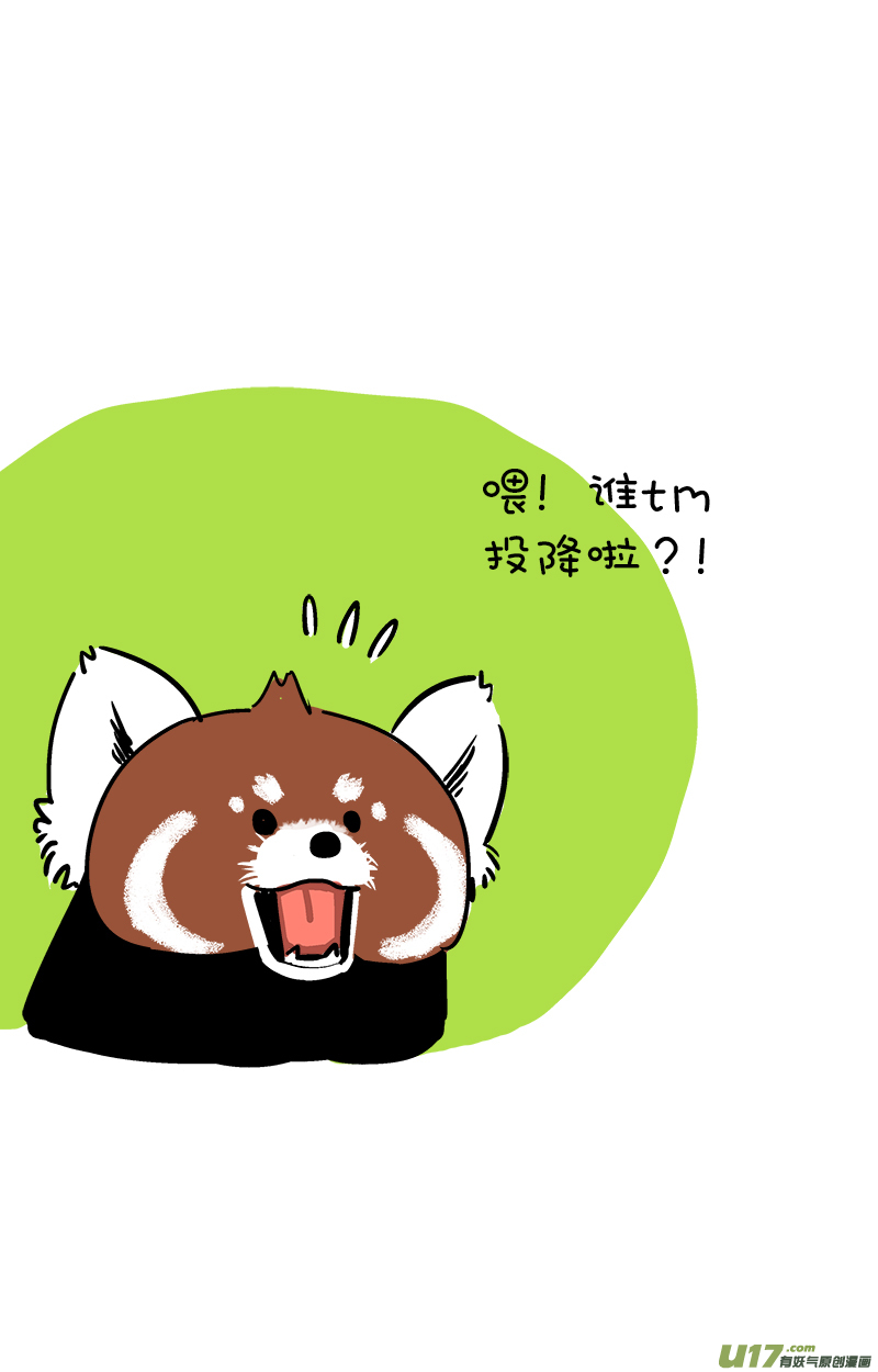 快把动物放进冰箱对不起！我是熊猫！