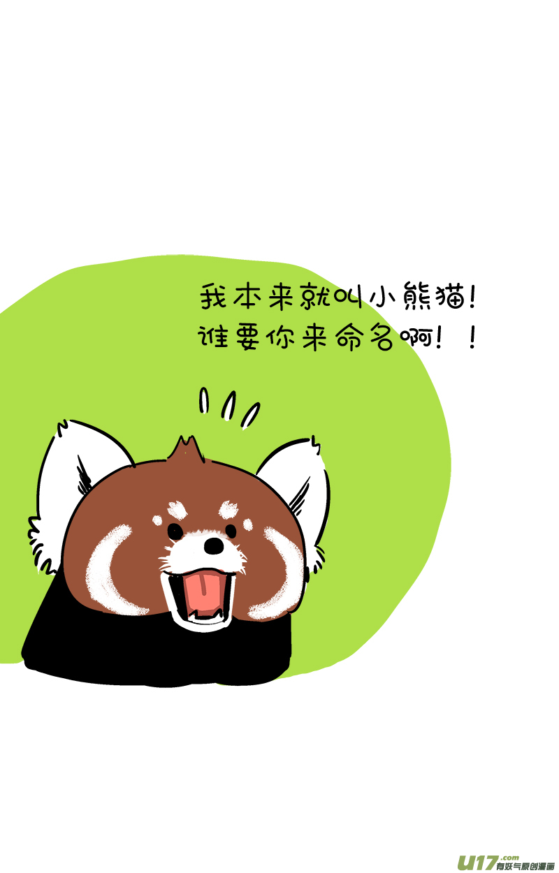 快把动物放进冰箱对不起！我是熊猫！