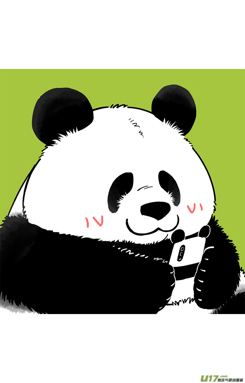 快把动物放进冰箱对不起！我是熊猫！
