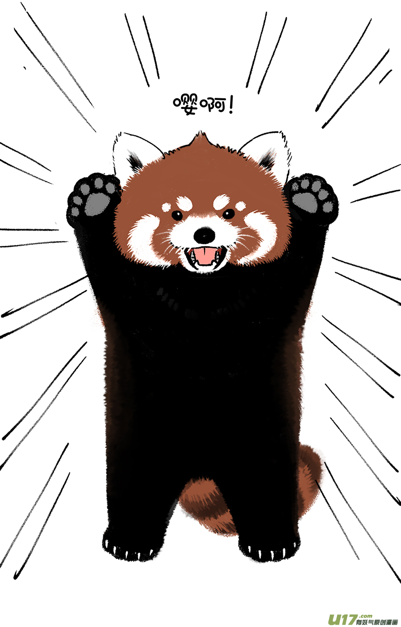 快把动物放进冰箱对不起！我是熊猫！