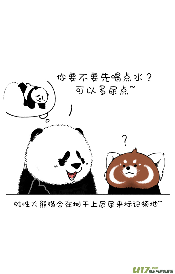 快把动物放进冰箱你这个习惯得改改