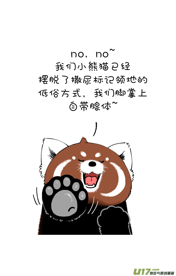 快把动物放进冰箱你这个习惯得改改