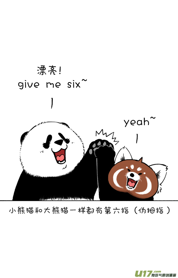 快把动物放进冰箱你这个习惯得改改