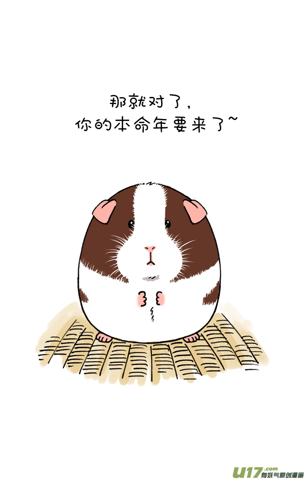 快把动物放进冰箱没想到你是这种猪！