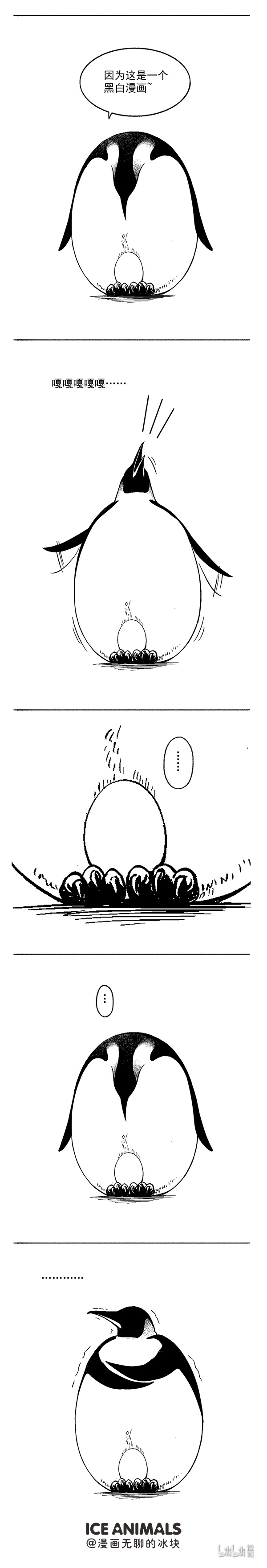 快把动物放进冰箱001