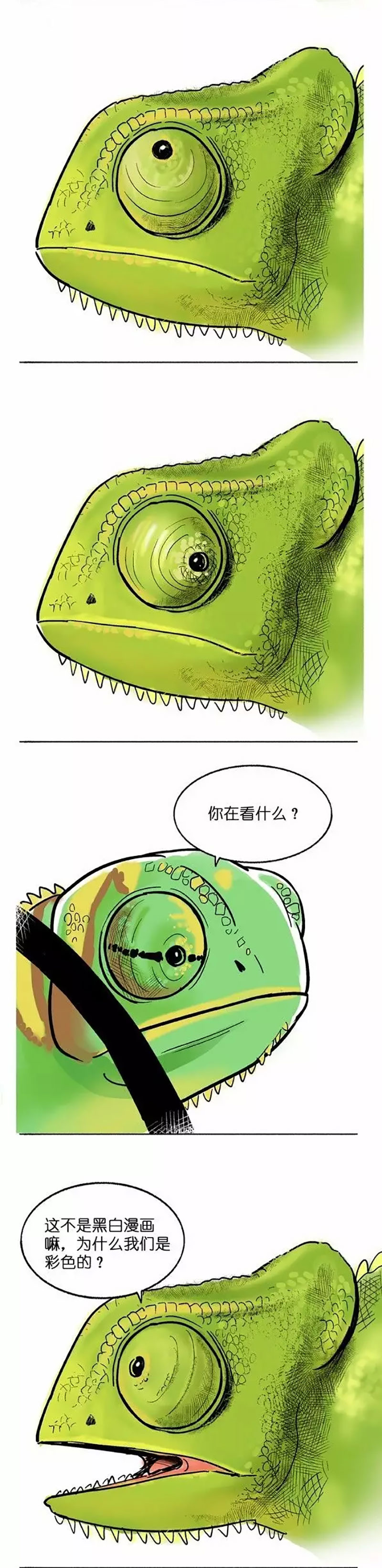 快把动物放进冰箱002