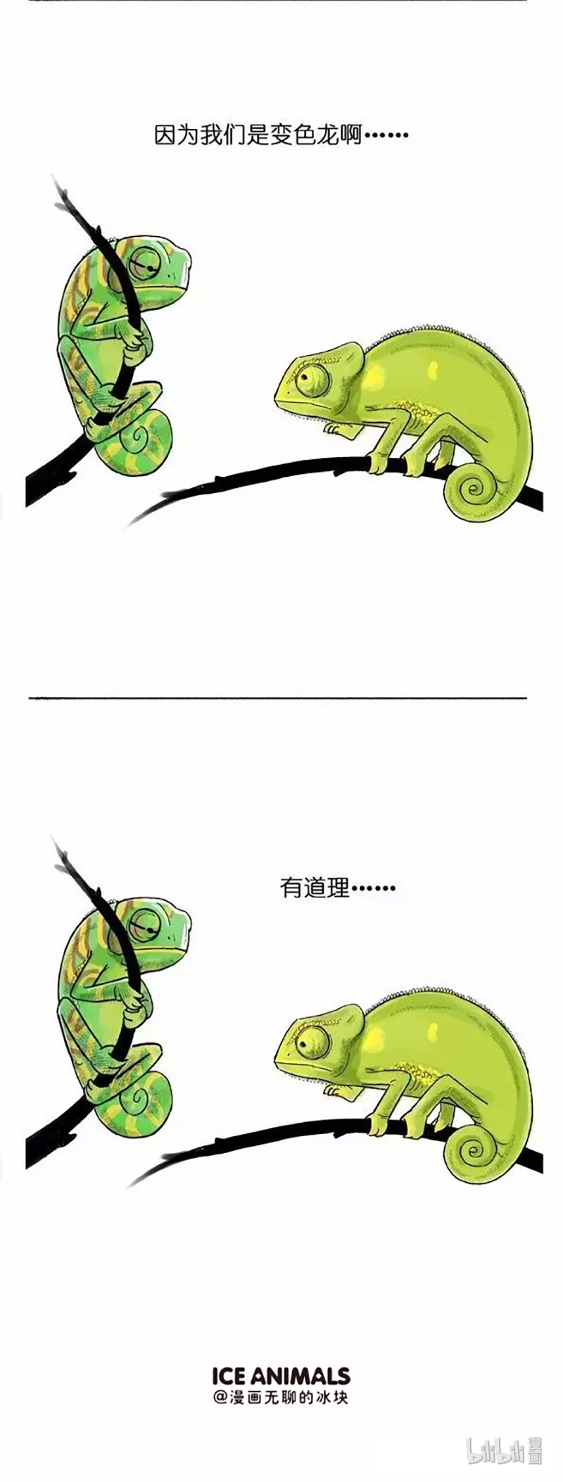 快把动物放进冰箱002