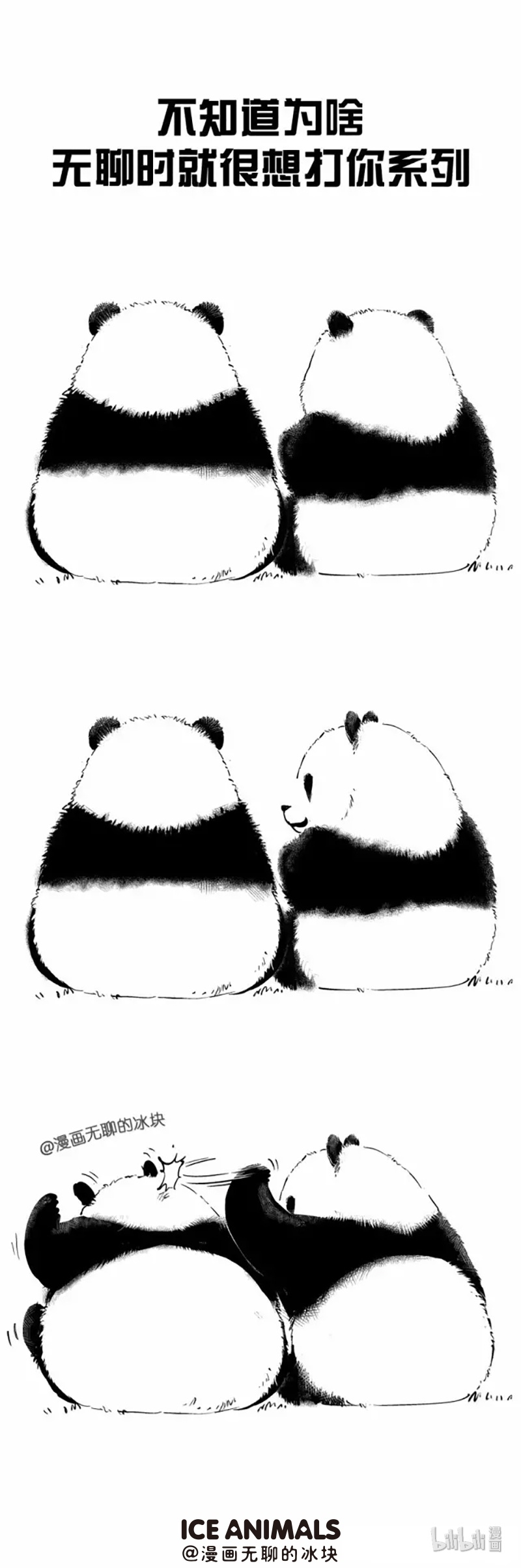 快把动物放进冰箱008