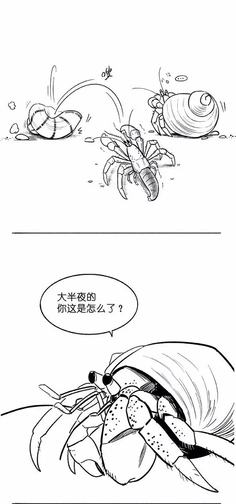 快把动物放进冰箱009