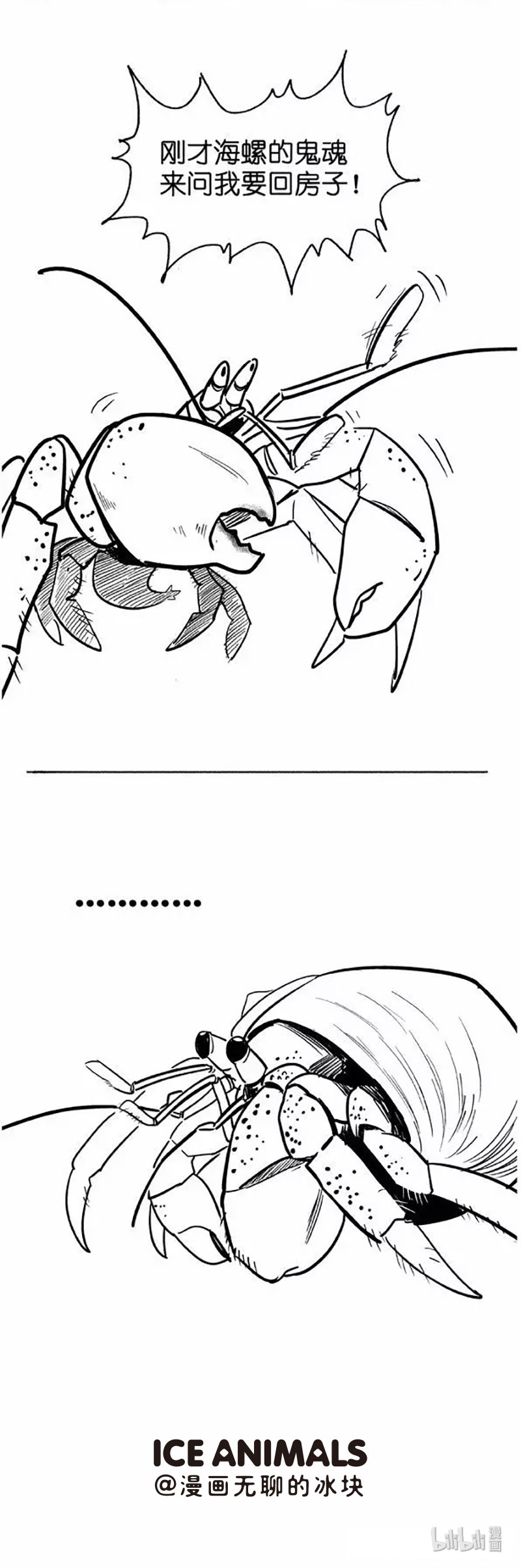 快把动物放进冰箱009