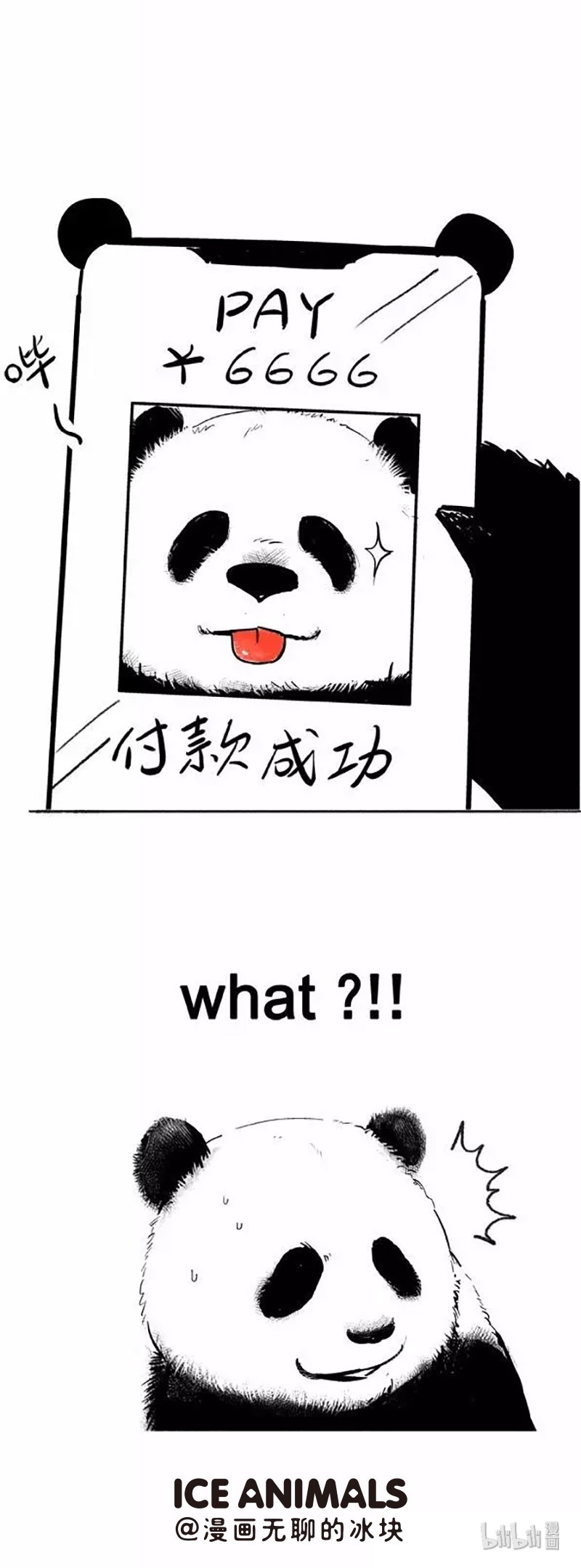 快把动物放进冰箱010